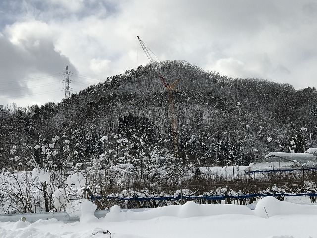 s-2017-01-17 12.38.43.jpg